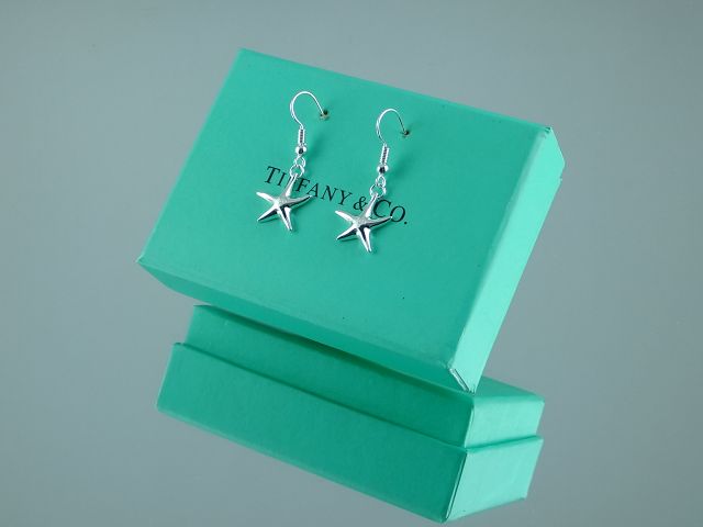 tiffany Earrings-148